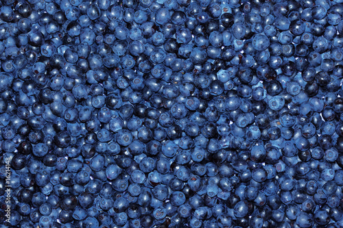 Ripe blueberries.