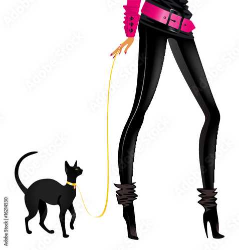 fashionable harmonous girl in fate style with a cat