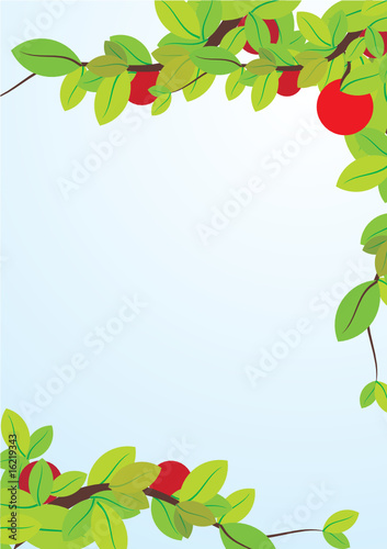 apple frame
