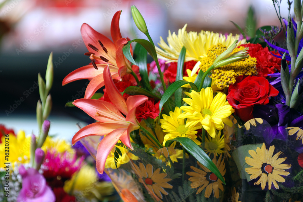 Obraz premium Bouquet