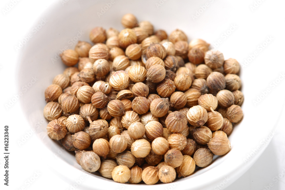 coriander coriander