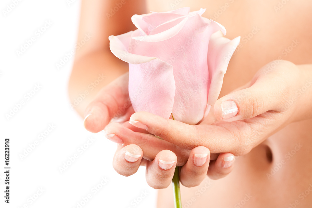Naklejka premium Woman holding pink rose