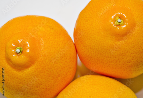 Tangelos mandarins