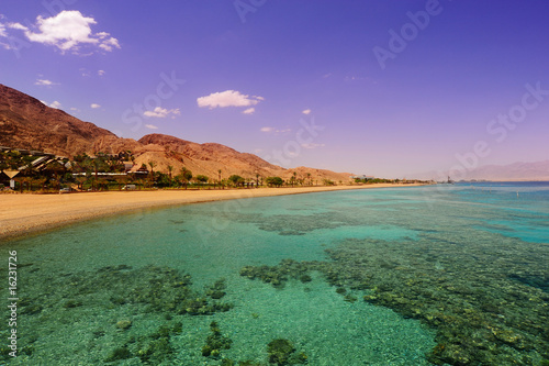 Coral Reef