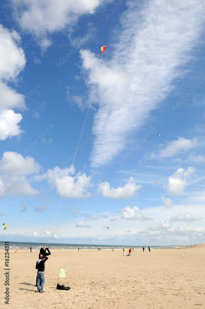 Obraz premium cerf-volants