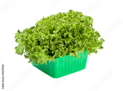 Fresh Lettuce salad in green box