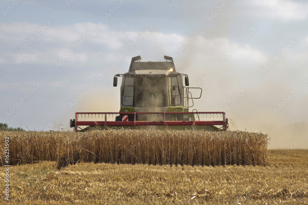 Obraz premium Harvest in the dust- Mähdrescher auf dem Feld