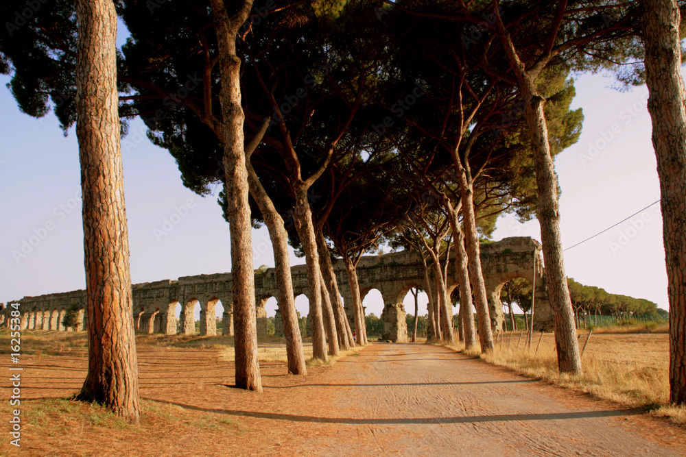 Fototapeta premium Allee - Rom, Italien