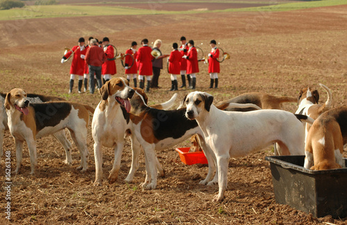 Foxhounds. Completion of  