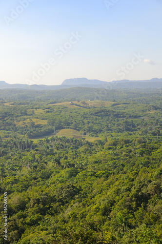 Valley, cuban landscape