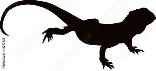Obraz na plátně Australian Bearded Lizard Silhouette