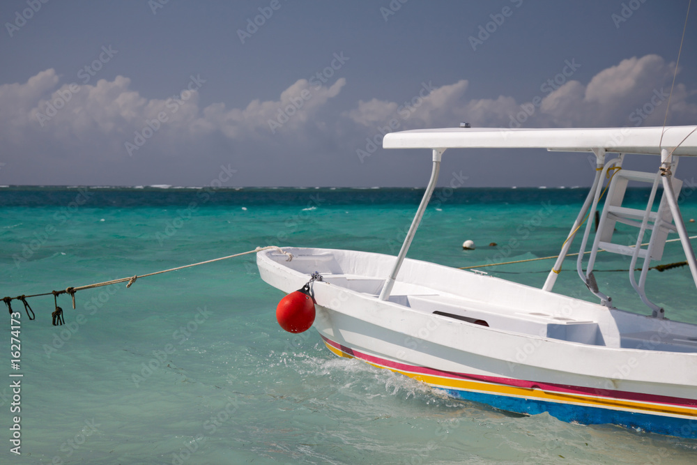 fishing and snorkeling boat in marina