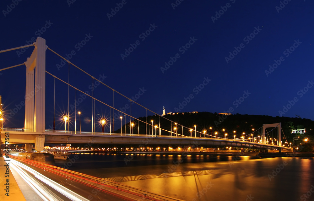 Fototapeta premium Budapest in night at the Danube