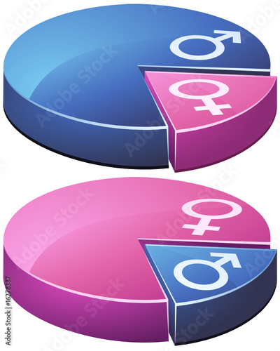 Statistiques sur la répartition homme/femme (détouré)