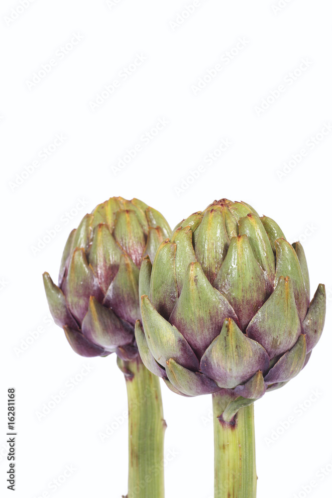 Obraz premium Zwei Artischocken