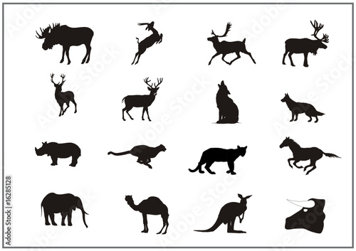 Tiere zwischen Norwegen und Afrika