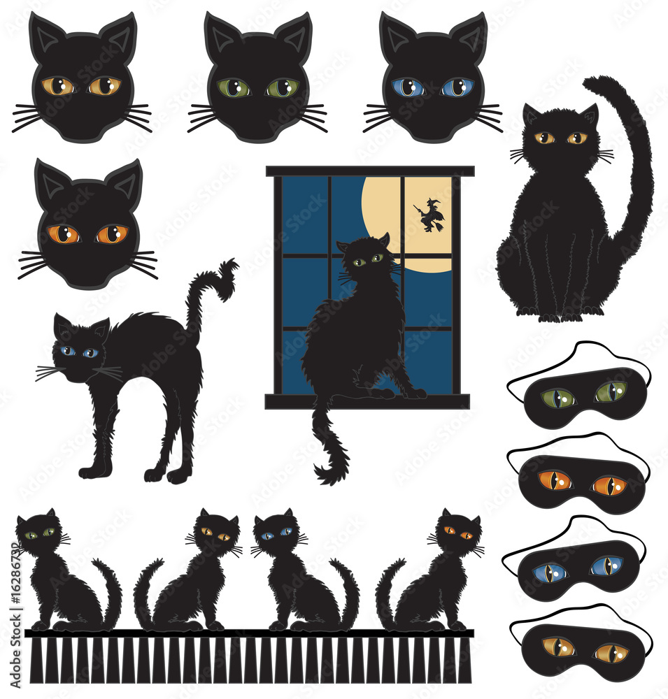 Obraz premium Black Cats