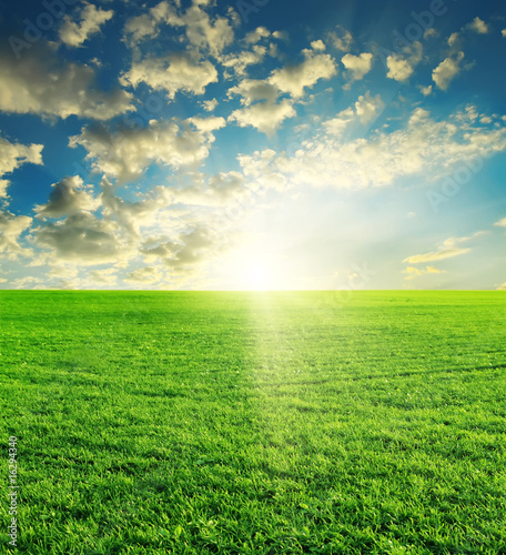 green grass and sun sky