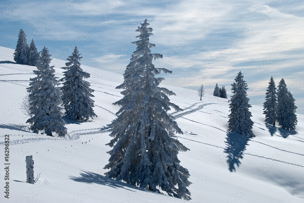 Obraz premium Winter auf dem Feldberg, Schwarzwald