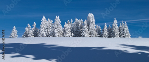 Winter auf dem Feldberg, Schwarzwald