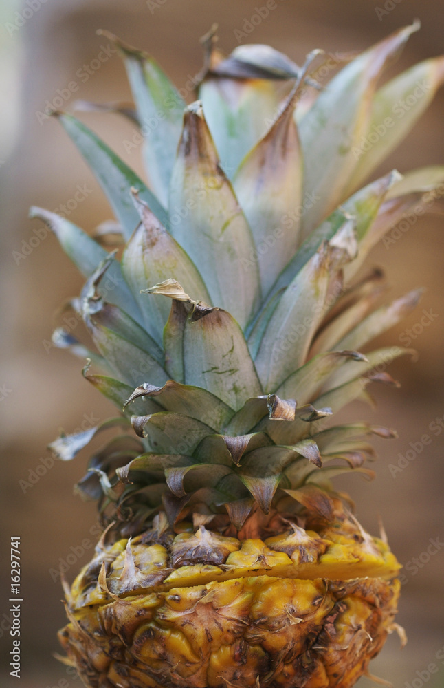 Obraz premium Fresh pineapple
