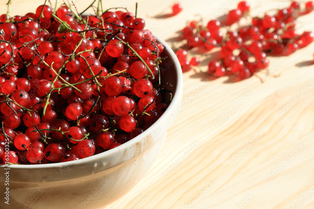 Red currants in a bowl Red currants in a bowl