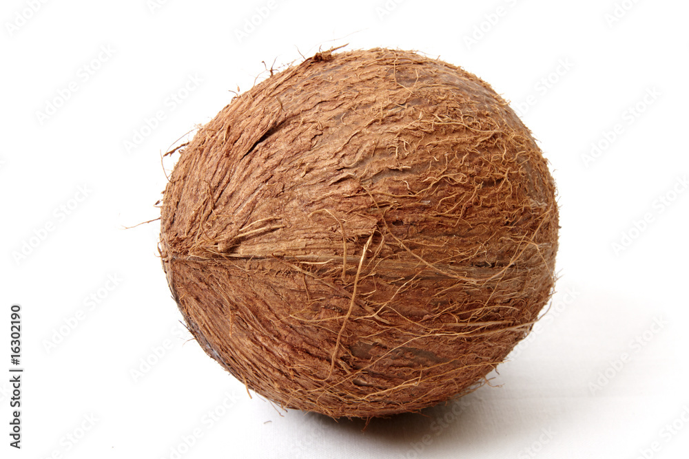Coconut isolated Coconut isolated