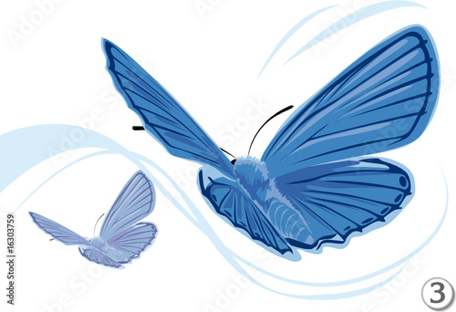 BUTTERFLY - PAPILLONS (3)