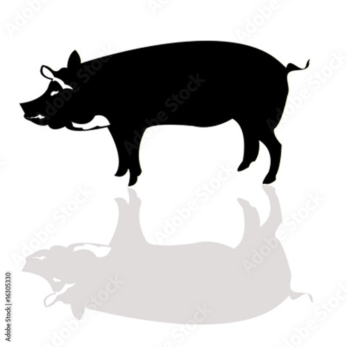 Vector pig silhouette