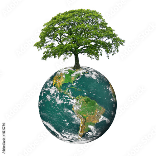 Fototapeta Naklejka Na Ścianę i Meble -  Save the Trees