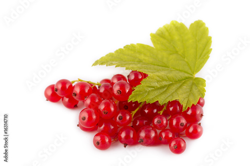 Red currants