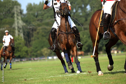 Polo Competition