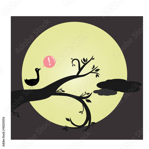 bird sings at night