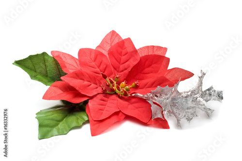 Fake poinsettia with silver branch