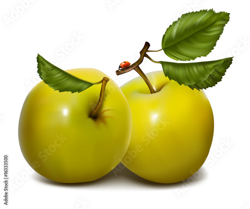 Green apples with leaves