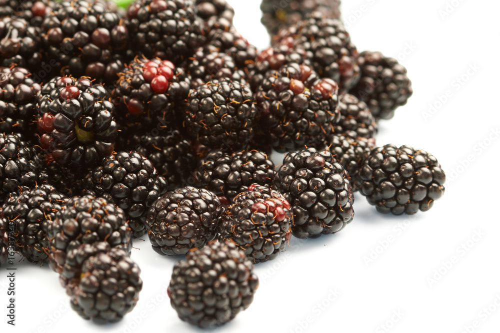 dewberry dewberry