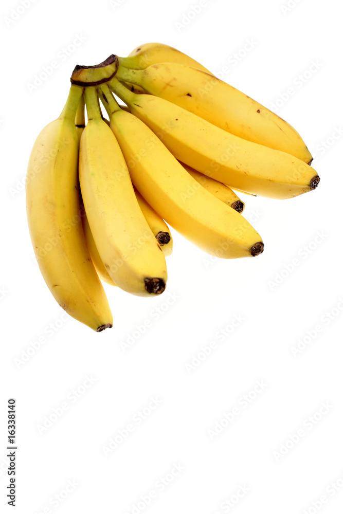 Bunch of bananas isolated on white Bunch of bananas isolated on white