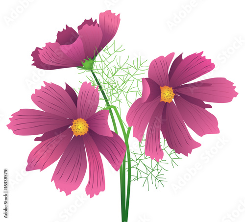 Beautiful vector flower for design