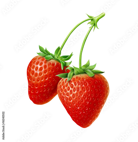 Fototapeta Naklejka Na Ścianę i Meble -  Two strawberries