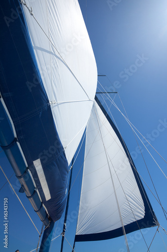sail in wind