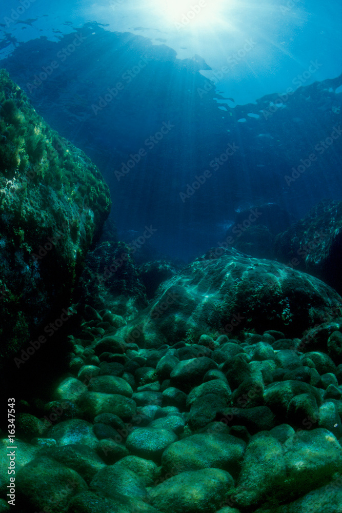 Fototapeta premium Mediterranean seabed