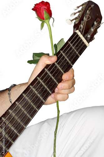 serenata sfondo bianco