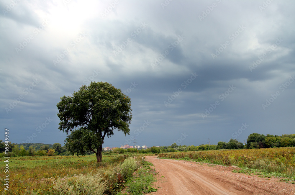 road and tree under storm sky