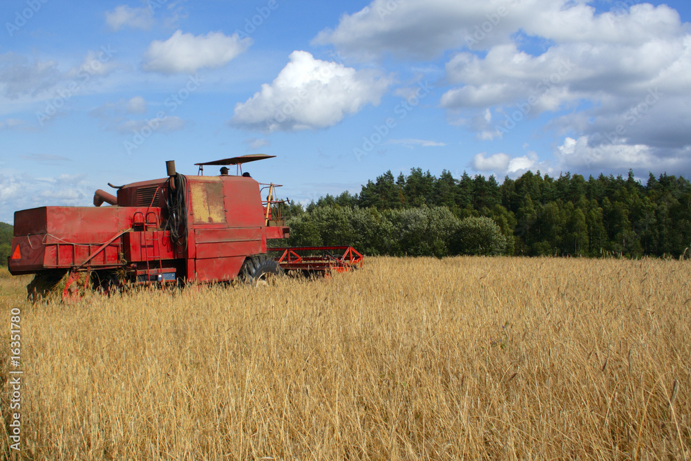 Fototapeta premium Field Works