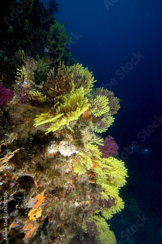 Paesaggio mediterraneo