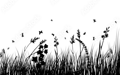 grass background