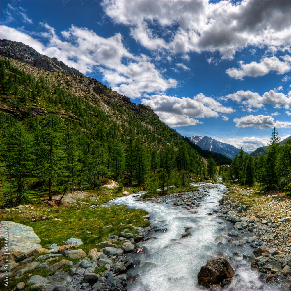 Obraz premium Torrente