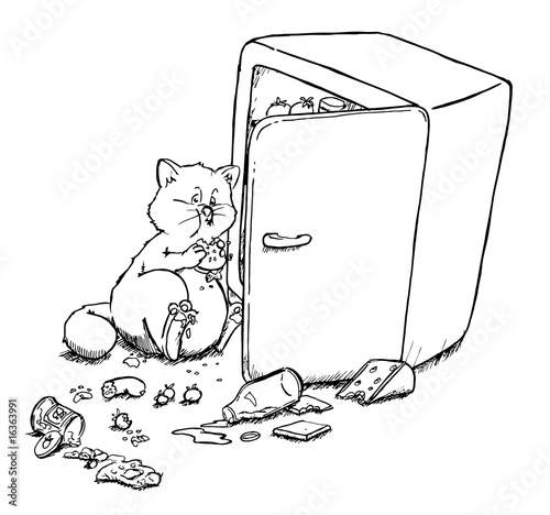 Katze, Kater, essen, dick, Kühlschrank, abnehmen