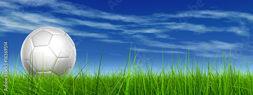 3d soccer ball on green grass over a natural blue sky