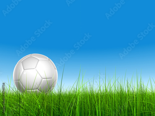 3d leather white soccer ball on green grass